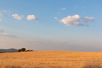 Obraz premium Beautiful couples, fields and landscapes of the Cordoba