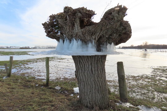 Winter am Niederrhein