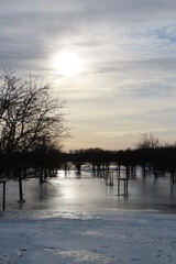 Winter am Niederrhein