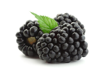 Blackberry fruit on white