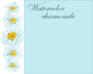 Watercolor hand painted nature floral frame with yellow center, white petals chamomile flowers bouquet on the white background with blue squared space for text for invite and greeting card