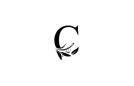 Monogram Flourishes Letter C Logo Manual Elegant Minimalism Sign Vector