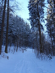 Fototapeta premium Ilmenau-Manebach
