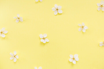 Floral pattern of white spring or summer flowers on yellow background. Copy space for your text. Flat lay style. Top view. Floral background. Pattern of flower buds.
