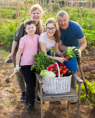 Fototapeta premium Portrait of happy family with two kids posing in garden with fresh harvest of vegetables and greens