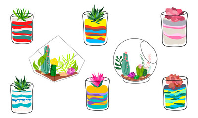 Set of geometric florariums. Geometric terrariums set with plants, succulents and cactus. Scandinavian style home decor. Glass crystal florariums isolated on white background.