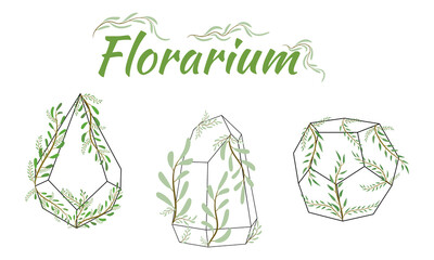Set of geometric florariums. Geometric terrariums set with plants, succulents and cactus. Scandinavian style home decor. Glass crystal florariums isolated on white background.