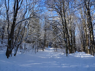 Ilmenau-Manebach