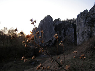 Bolechowicka valley in autumn, Polish Jurassic Highland, Poland