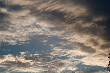Bright colorful reflection warm sunlight, sunset illuminates dark cloudy sky. Outdoors.
