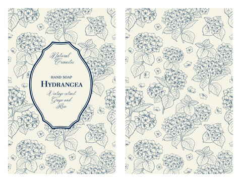 Vintage card with flowers Hydrangea on background. Book cover with flower texture. Colour lines on white background. Vector illustration.