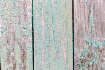 Wooden surface with cracked peeling blue paint.Wall of old vertical boards.Close up.Selective focus.Concept of decorative background.