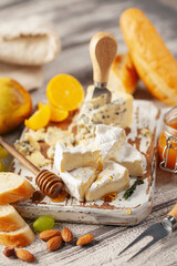 Cheese Brie and Dorblu or Gorgonzola on a board with grapes and honey. Italian food antipasti