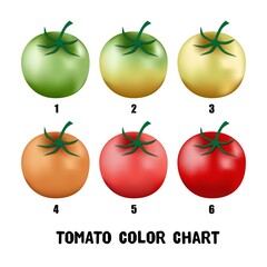 Collection of a developing tomato chart from green to red.