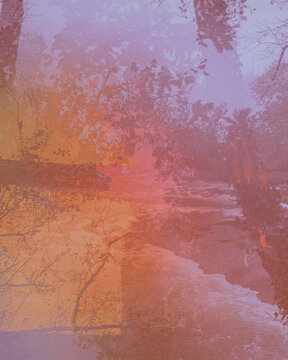 the river in the forest