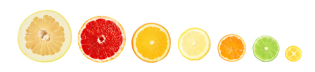 Set of different delicious citrus fruits on white background, banner design