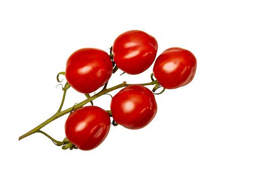 Eine reife Cocktail-Tomate mit f&uuml;nf Fr&uuml;chten von oben.