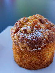 Apple Muffins with Cinnamon Sugar Topping
