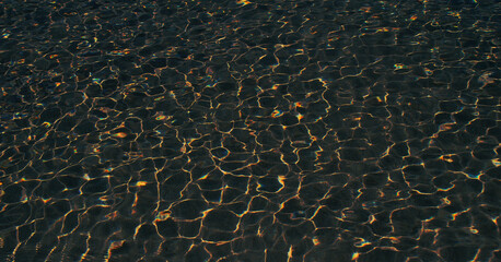 Dark reflection of waterpool waves