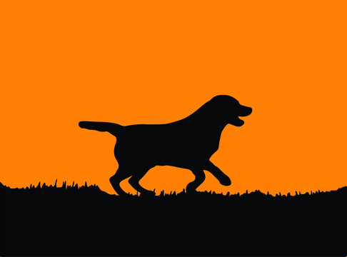 dog vector illustration isolated on background