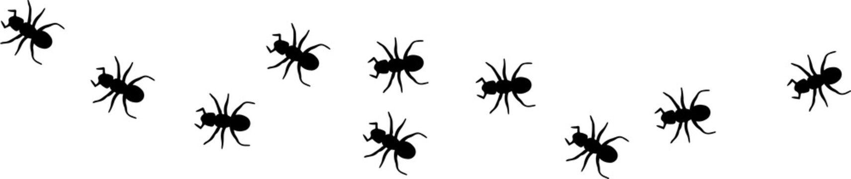 ant icon isolated on white background
