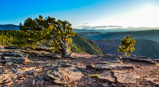 View from Canyon Rim trail in Flaming Gorge Utah National Park of Green River high angle aerial overlook