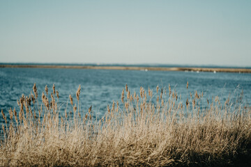 pure nature, windy ocean