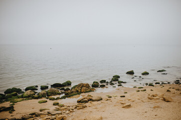 moss-covered stones on the seashore, cloudy day, fog