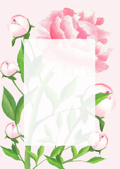 Floral card with watercolor painted peonies. Light pink background. Postcard design with peony roses. Greeting or invitation paper A format.