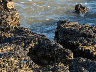 Piedras a la vista en la bajada del mar
