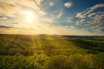 Fototapeta premium Strahlen der Abendsonne über dem Wald