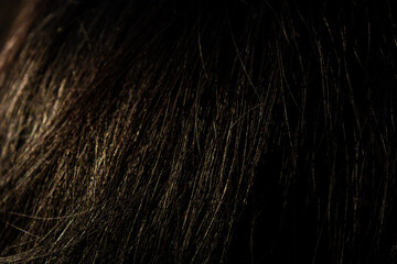Dark hair macro background. Beuaty woman concept