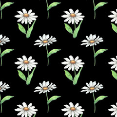 Seamless floral pattern with daisy flowers. Design or wallpaper, textile design, packing, textile, fabric. 