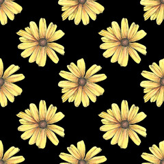 Seamless floral pattern with daisy flowers. Design or wallpaper, textile design, packing, textile, fabric. Chamomile, calendula.