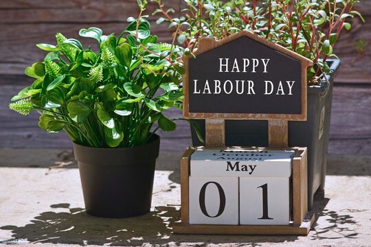 Text on chalkboard and white cube block with plant background in the garden