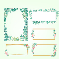 Set Frame Rectangle Watercolor plant eucalyptus 