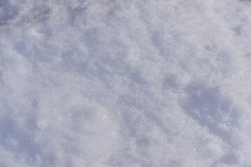 White fluffy snow in winter in a snowdrift