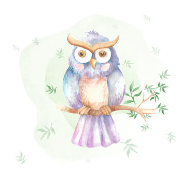 cute watercolor illlustration owl design