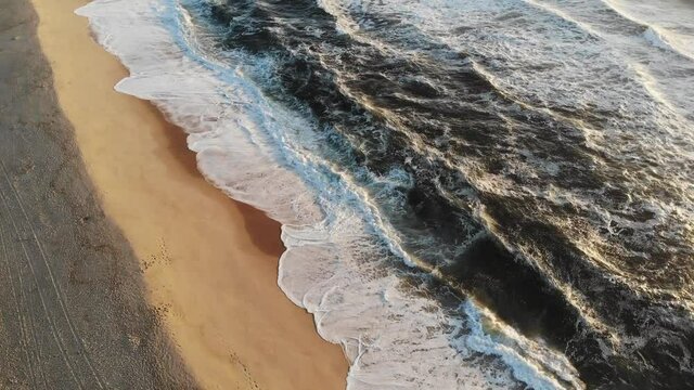 Flight on the ocean sandy shore in the early morning, Portugal, Furadouro.