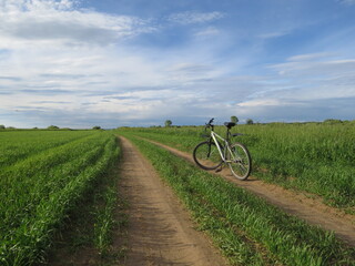 Obraz premium nature forest sunset spaciiousness field summer river