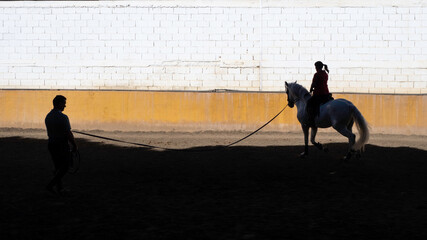Instructor de equitacion dando sus clases a una mujer en el piocadero de la cuadra