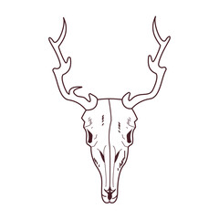 skull head of wild reindeer icon