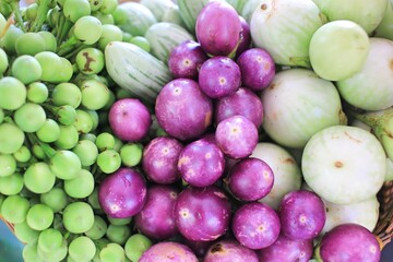 eggplant and turkey berry the background of vegetable