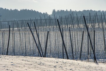 Hopfengarten und Schnee