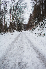 Winter in Harz Mountains National Park, Germany. Moody snow covered landscape in German forest