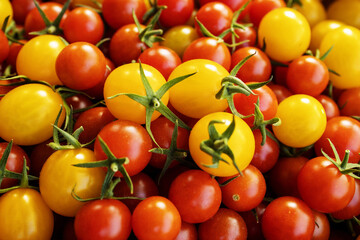 Fototapeta na wymiar organic tomatoes.