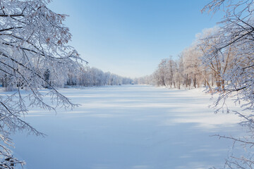 Picturesque panorama of a frozen lake and trees covered with snow on a sunny winter day.