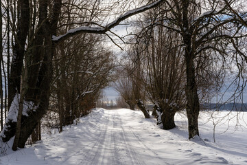  road in the middle of the field that is covered with snow