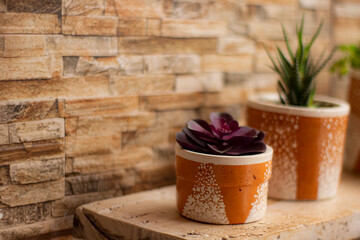 Beauty Handmade vase with purple plant, purple plant, handmade vase, handcrafted
