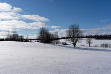 White snowy Latvian landscape in winter where you can see a large field